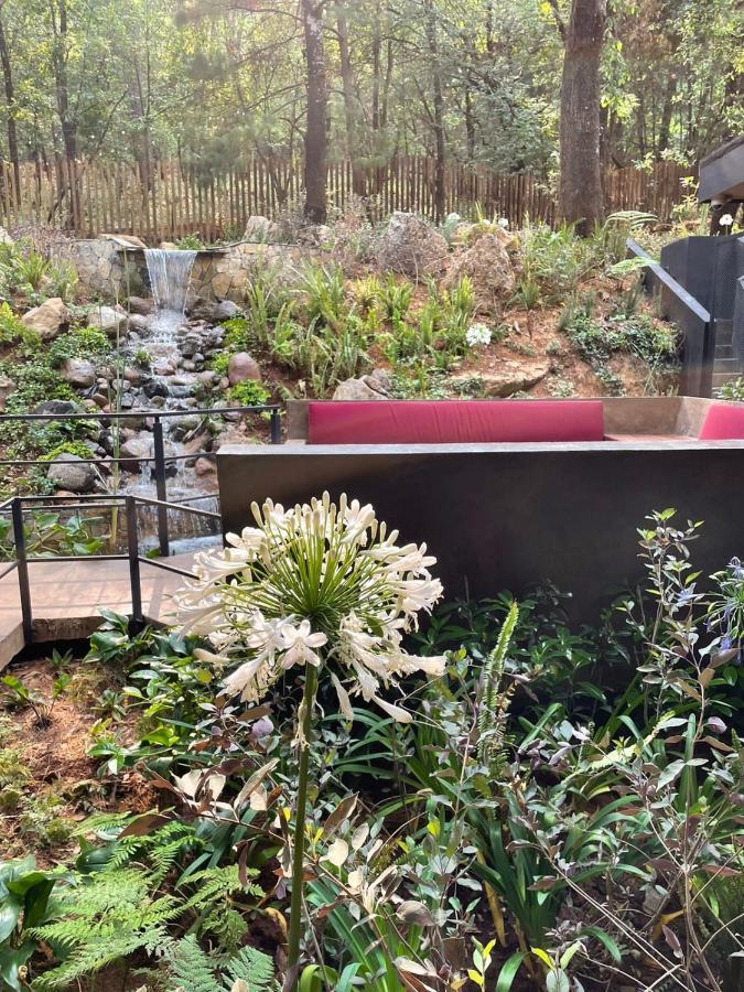 Hotel Oxu Solo Adultos Valle de Bravo Zewnętrze zdjęcie